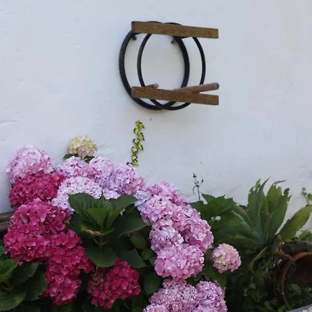 Apartamento Ribeira Dos Marinheiros Vermelho *