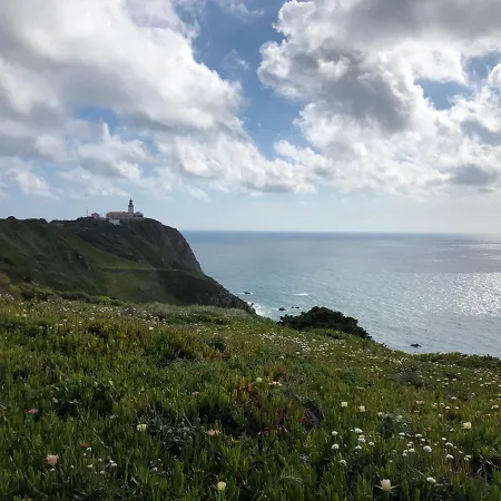 Ribeira Dos Marinheiros Vermelho *