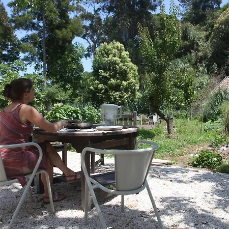 Ribeira Dos Marinheiros Vermelho Apartamento *