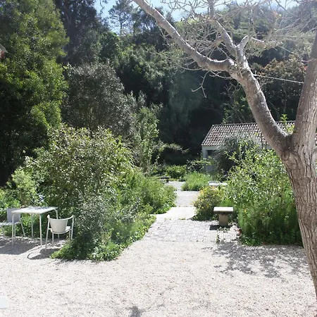 Ribeira Dos Marinheiros Vermelho Apartamento *