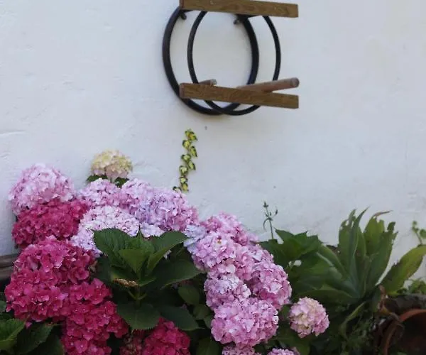 Apartament Ribeira Dos Marinheiros Vermelho *